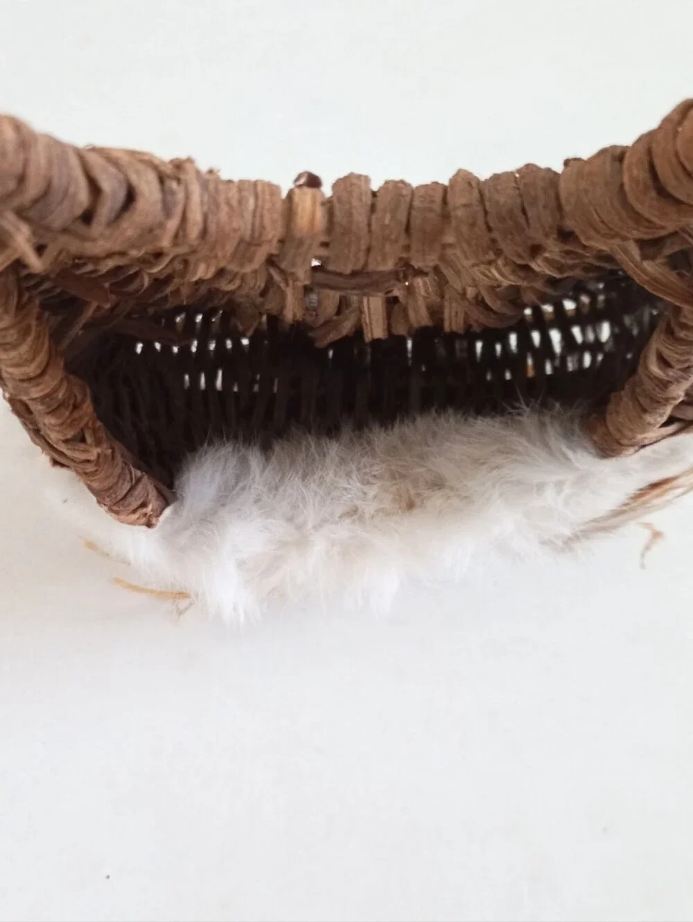 Indigenous Native American vintage natural wicker and feather wall basket